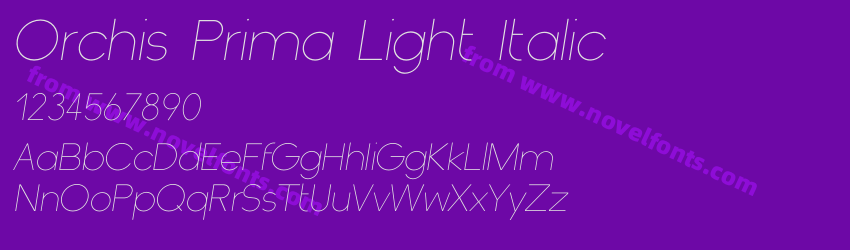 Orchis Prima Light ItalicPreview