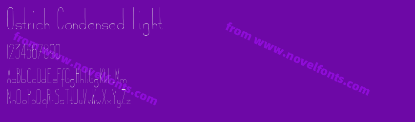 Ostrich Condensed LightPreview