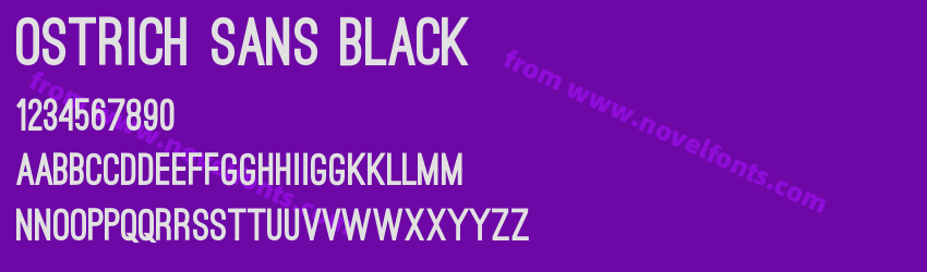 Ostrich Sans BlackPreview