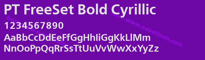 PT FreeSet Bold CyrillicPreview