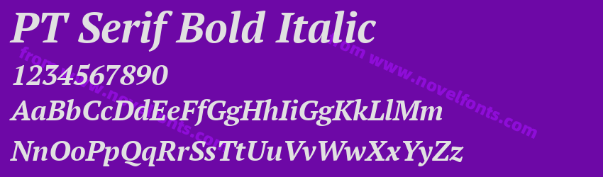 PT Serif Bold ItalicPreview