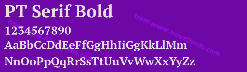 PT Serif BoldPreview