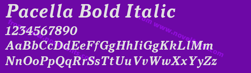 Pacella Bold ItalicPreview