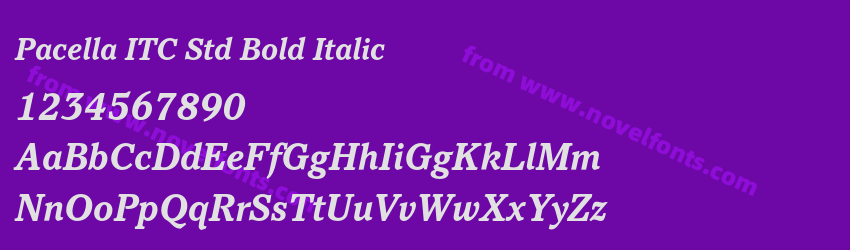 Pacella ITC Std Bold ItalicPreview