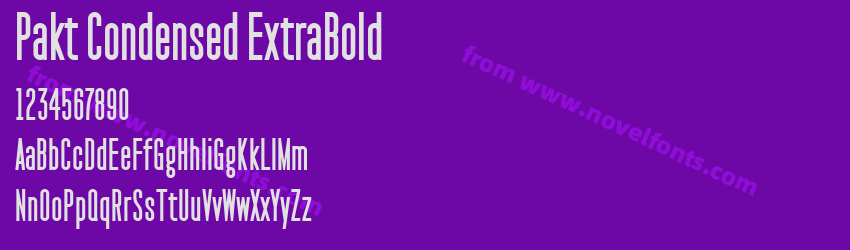 Pakt Condensed ExtraBoldPreview