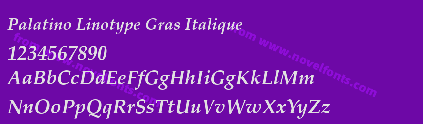 Palatino Linotype Gras ItaliquePreview