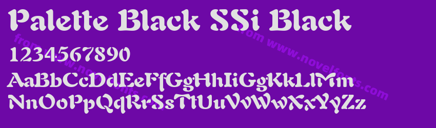 Palette Black SSi BlackPreview