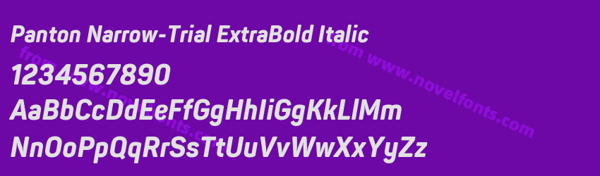 Panton Narrow-Trial ExtraBold ItalicPreview