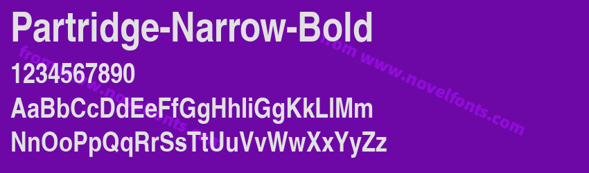 Partridge-Narrow-BoldPreview