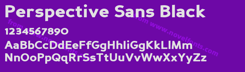 Perspective Sans BlackPreview