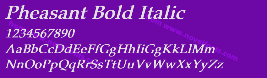 Pheasant Bold ItalicPreview