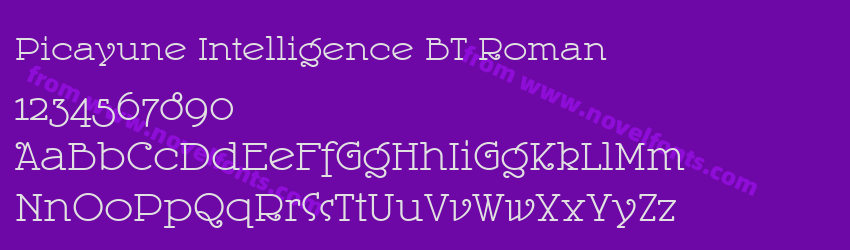 Picayune Intelligence BT RomanPreview