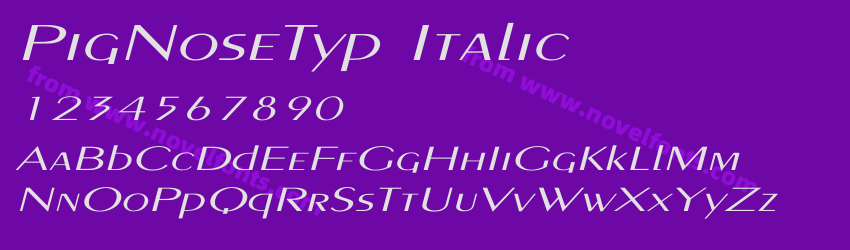 PigNoseTyp ItalicPreview