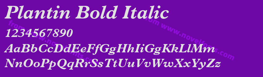 Plantin Bold ItalicPreview