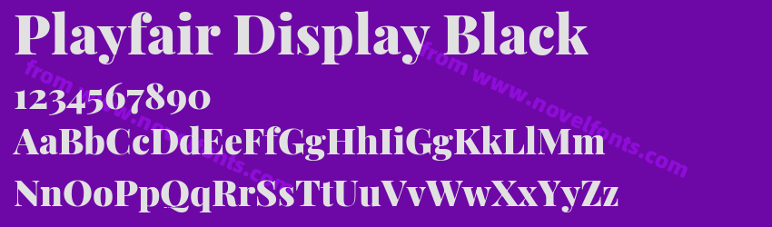 Playfair Display BlackPreview