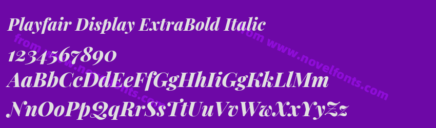 Playfair Display ExtraBold ItalicPreview