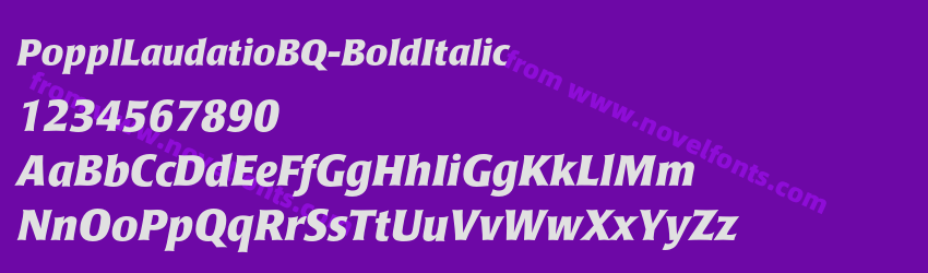 PopplLaudatioBQ-BoldItalicPreview