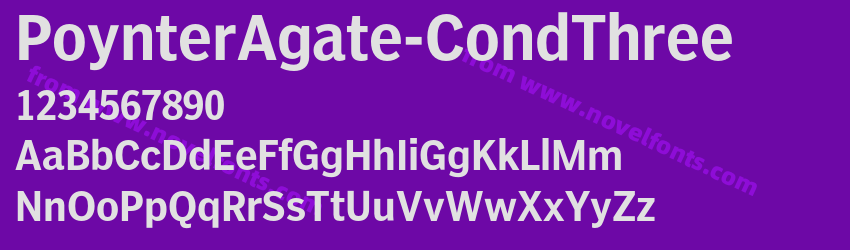 PoynterAgate-CondThreePreview