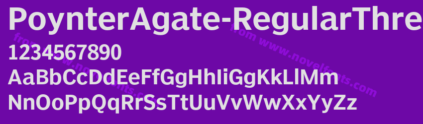 PoynterAgate-RegularThreePreview