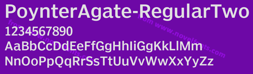 PoynterAgate-RegularTwoPreview