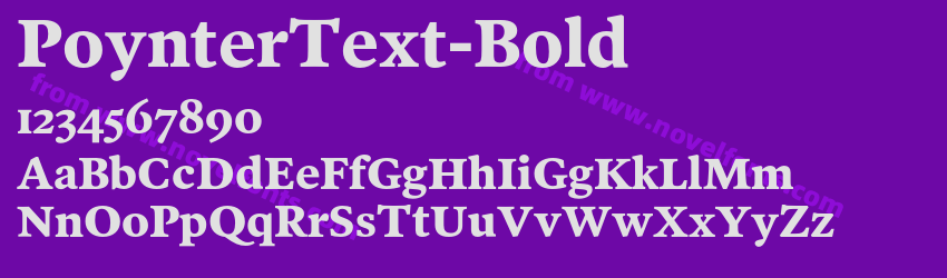 PoynterText-BoldPreview