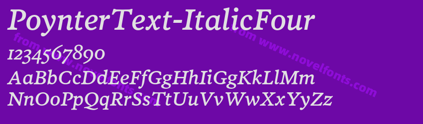 PoynterText-ItalicFourPreview