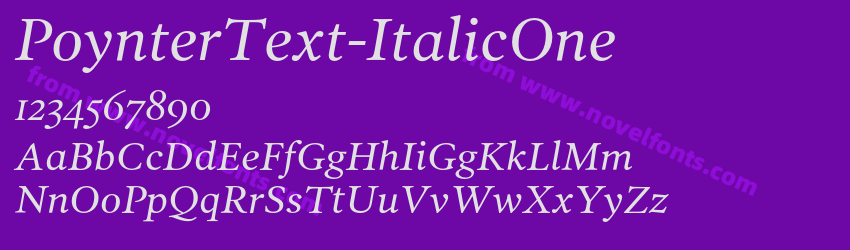 PoynterText-ItalicOnePreview