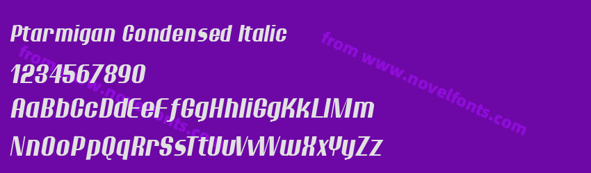 Ptarmigan Condensed ItalicPreview