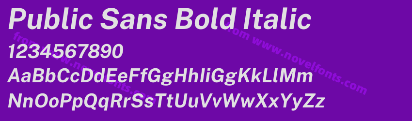 Public Sans Bold ItalicPreview