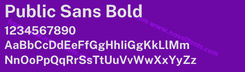 Public Sans BoldPreview