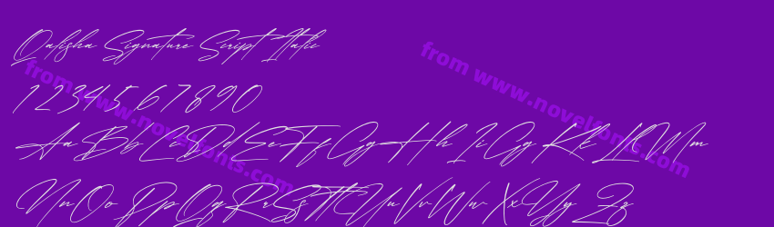 Qalisha Signature Script ItalicPreview