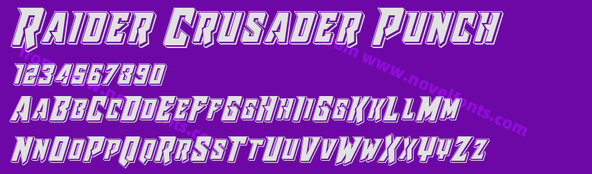 Raider Crusader PunchPreview