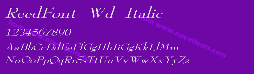 ReedFont Wd ItalicPreview