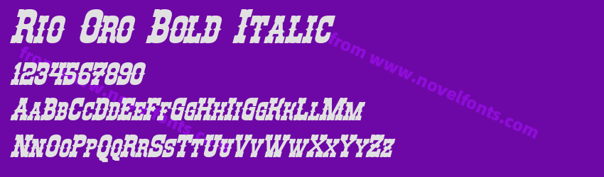 Rio Oro Bold ItalicPreview