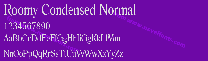 Roomy Condensed NormalPreview