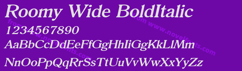 Roomy Wide BoldItalicPreview