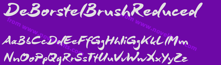 De Borstel Brush ReducedPreview