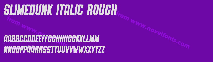 SLIMEDUNK ITALIC ROUGHPreview