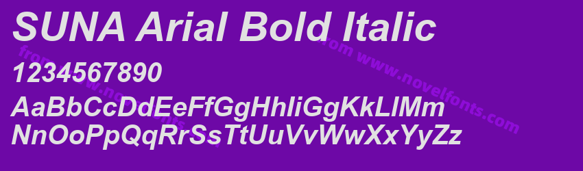 SUNA Arial Bold ItalicPreview