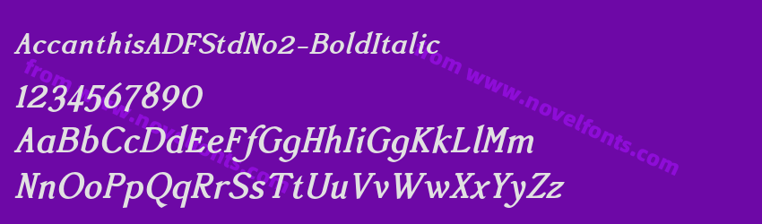 AccanthisADFStdNo2-BoldItalicPreview