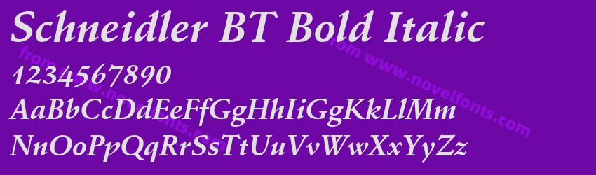 Schneidler BT Bold ItalicPreview