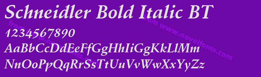 Schneidler Bold Italic BTPreview