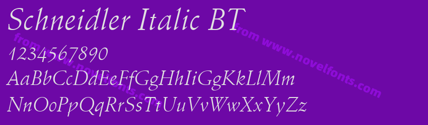 Schneidler Italic BTPreview