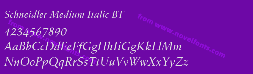 Schneidler Medium Italic BTPreview