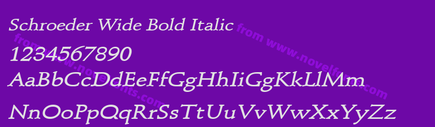 Schroeder Wide Bold ItalicPreview