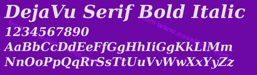 DejaVu Serif Bold ItalicPreview