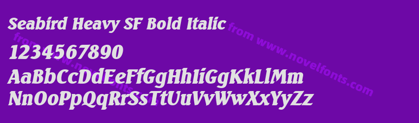 Seabird Heavy SF Bold ItalicPreview