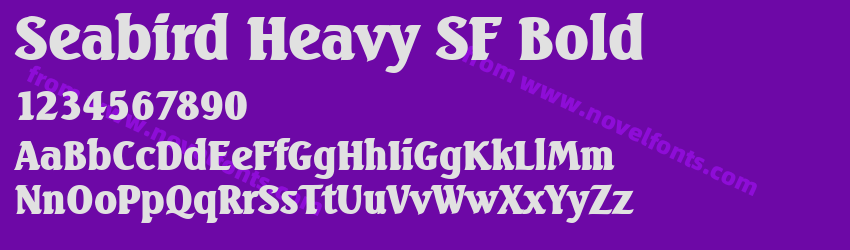 Seabird Heavy SF BoldPreview