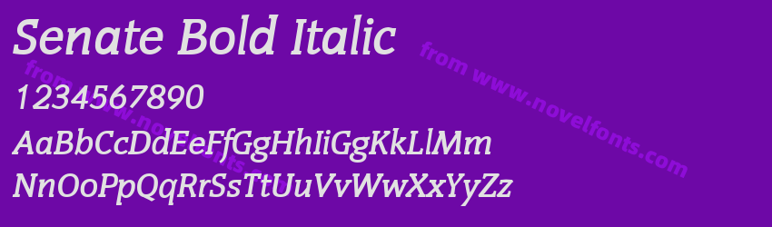 Senate Bold ItalicPreview