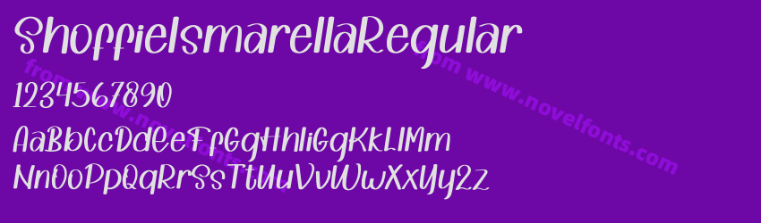 ShoffieIsmarellaRegularPreview